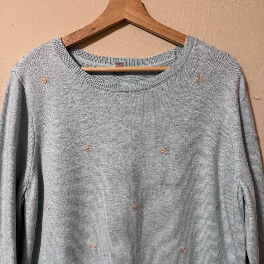 J. Jill baby blue sweater with embroidered pattern Size Large